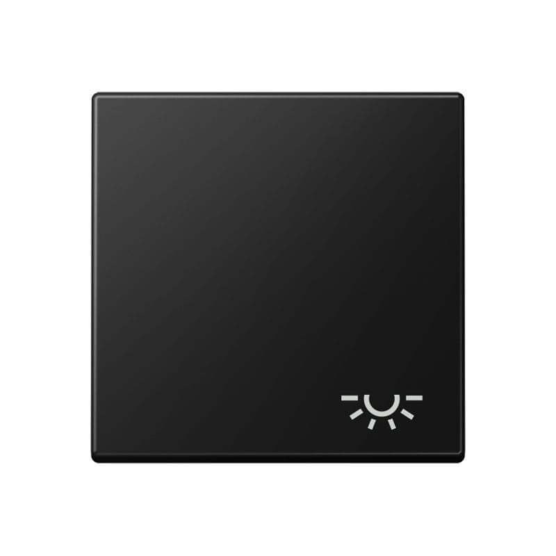 Jung - Enjoliveur avec symbole "lumière" / Série A 500 Noir Mat