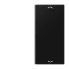 Jung - Touche 2 voies avec flèches platine F40 / LS 990 Noir Mat