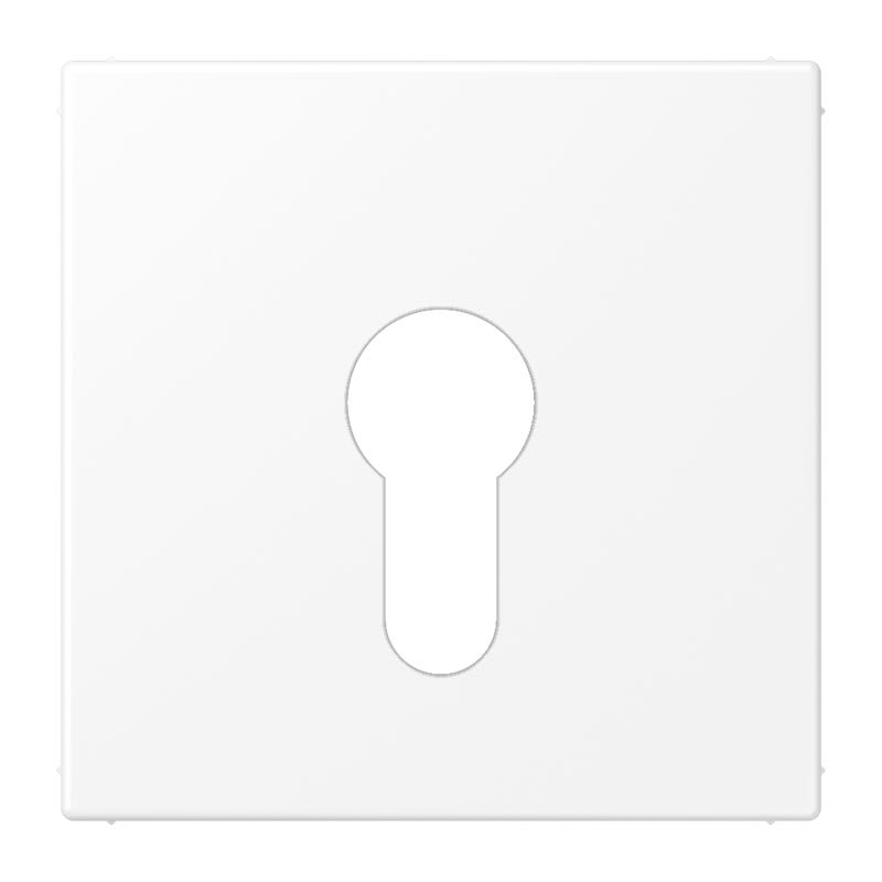 Jung - Enjoliveur pour IN et BP à clé version plate / LS 990 Blanc Mat