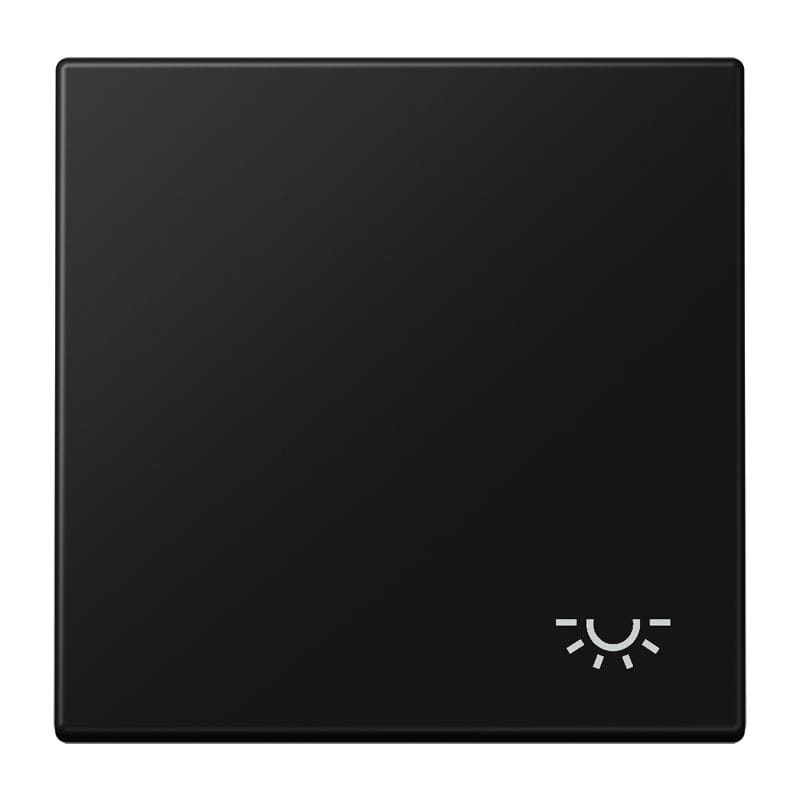 Jung - Enjo avec symbole "lumière" / LS 990 Noir Mat