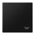 Jung - Enjo avec symbole "lumière" / LS 990 Noir Mat