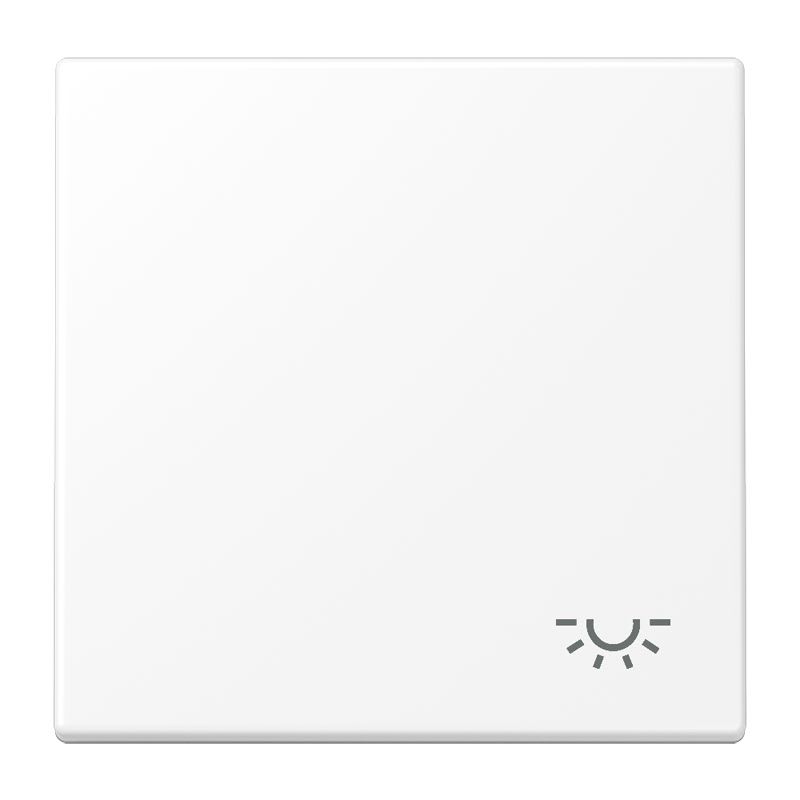 Jung - Enjo avec symbole "lumière" / LS 990 Blanc Mat