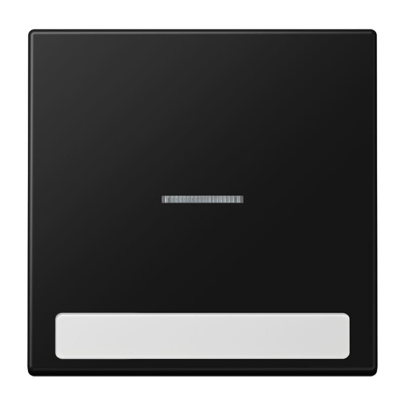 Jung - Enjoliveur simple touche porte étiquette & témoin / LS 990 Noir Mat