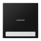 Jung - Enjoliveur simple touche porte étiquette & témoin / LS 990 Noir Mat