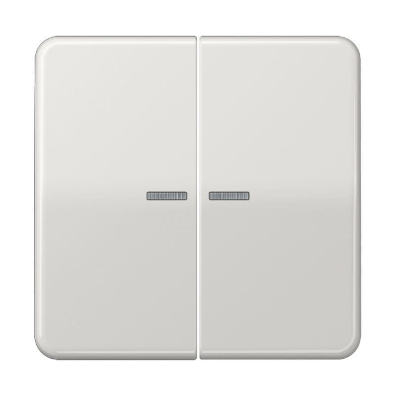 Jung - Enjoliveur 2T KNX RF 1V / Série CD 500 Gris Clair