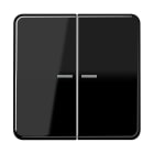 Jung - Enjoliveur 2T KNX RF 1V / Série CD 500 Noir