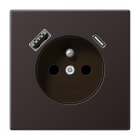 Jung - PC 2P+T type FR avec chargeur USB type AC / LS 990 Darck (canon de fusil)