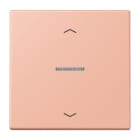 Jung - Enjo 1 touche + flèches et voyant méc BP-BCU LSCD10xxxST / LS 990 LC 32102