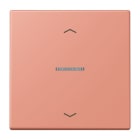 Jung - Enjo 1 touche + flèches et voyant méc BP-BCU LSCD10xxxST / LS 990 LC 32111