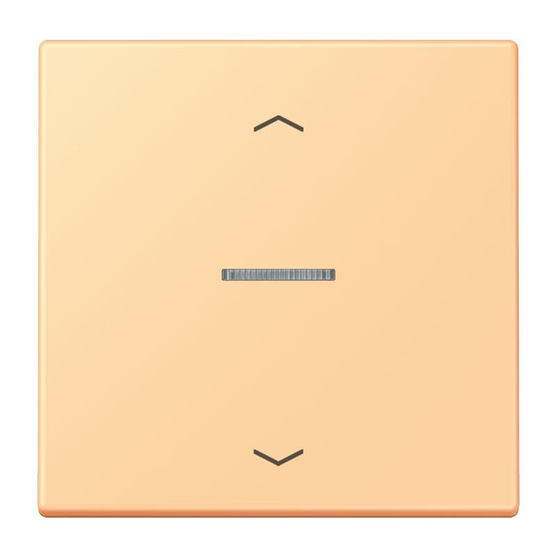 Jung - Enjo 1 touche + flèches et voyant méc BP-BCU LSCD10xxxST / LS 990 LC 4320P