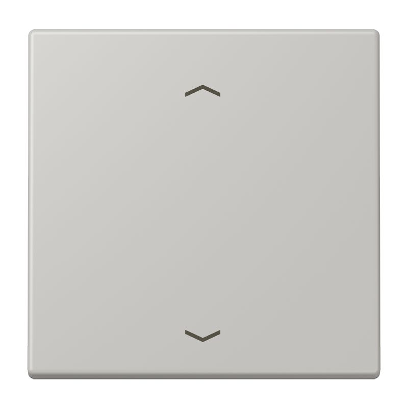 Jung - Enjo 1 touche + flèches pour mécanisme BP-BCU LSCD10xxxST / LS 990 LC 32013