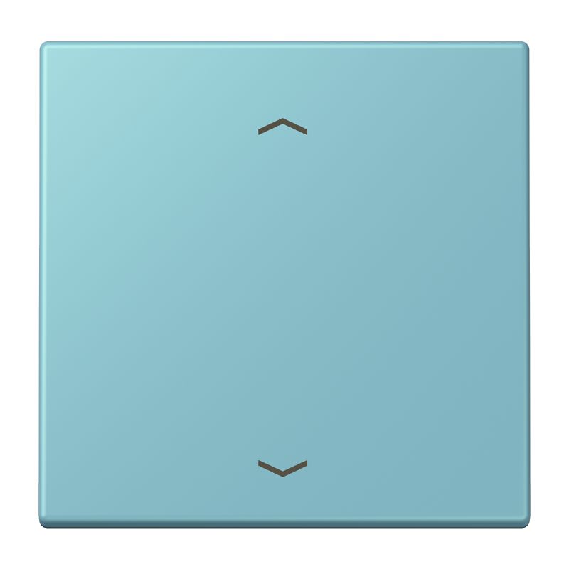 Jung - Enjo 1 touche + flèches pour mécanisme BP-BCU LSCD10xxxST / LS 990 LC 32032