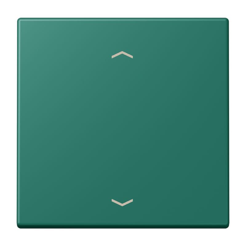 Jung - Enjo 1 touche + flèches pour mécanisme BP-BCU LSCD10xxxST / LS 990 LC 32040