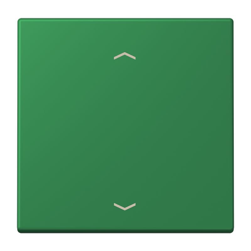 Jung - Enjo 1 touche + flèches pour mécanisme BP-BCU LSCD10xxxST / LS 990 LC 32050