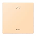 Jung - Enjo 1 touche + flèches pour mécanisme BP-BCU LSCD10xxxST / LS 990 LC 32060