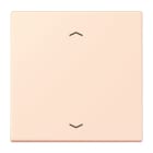 Jung - Enjo 1 touche + flèches pour mécanisme BP-BCU LSCD10xxxST / LS 990 LC 32082