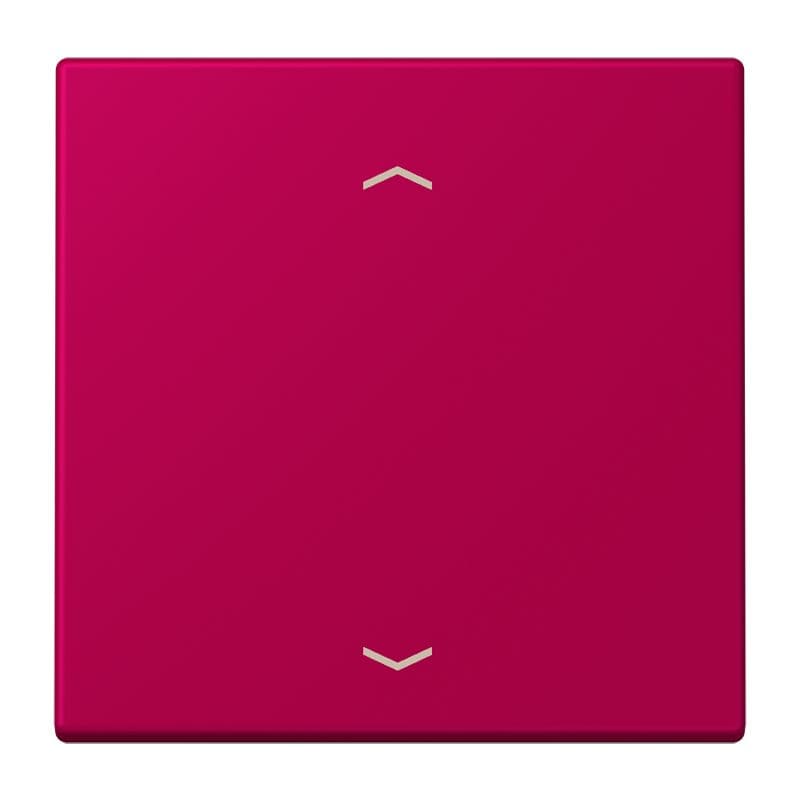 Jung - Enjo 1 touche + flèches pour mécanisme BP-BCU LSCD10xxxST / LS 990 LC 32101
