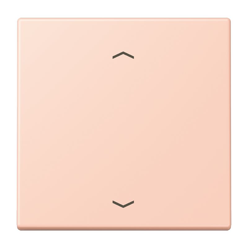 Jung - Enjo 1 touche + flèches pour mécanisme BP-BCU LSCD10xxxST / LS 990 LC 32114