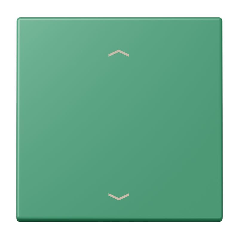 Jung - Enjo 1 touche + flèches pour mécanisme BP-BCU LSCD10xxxST / LS 990 LC 4320G
