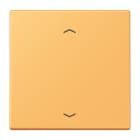Jung - Enjo 1 touche + flèches pour mécanisme BP-BCU LSCD10xxxST / LS 990 LC 4320L