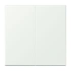 Jung - Enjo double touche pour mécanisme BP-BCU F10 LSCD10xxxST / LS 990 LC 32024