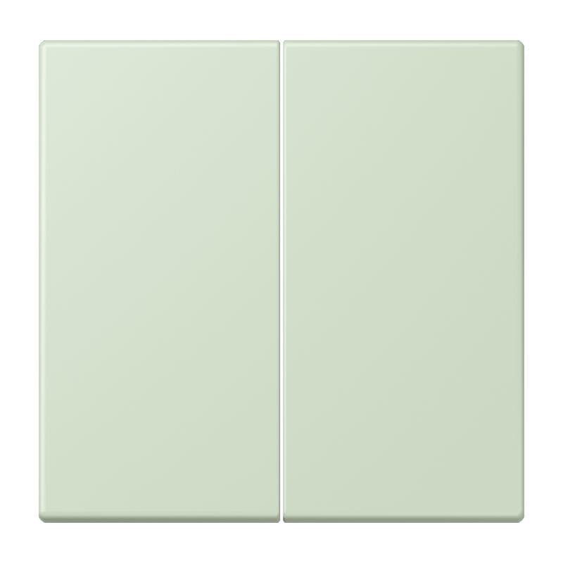 Jung - Enjo double touche pour mécanisme BP-BCU F10 LSCD10xxxST / LS 990 LC 32042