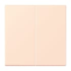 Jung - Enjo double touche pour mécanisme BP-BCU F10 LSCD10xxxST / LS 990 LC 32082