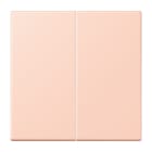 Jung - Enjo double touche pour mécanisme BP-BCU F10 LSCD10xxxST / LS 990 LC 32114