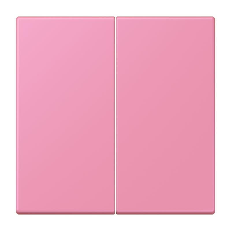 Jung - Enjo double touche pour mécanisme BP-BCU F10 LSCD10xxxST / LS 990 LC 4320C