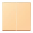 Jung - Enjo double touche pour mécanisme BP-BCU F10 LSCD10xxxST / LS 990 LC 4320P