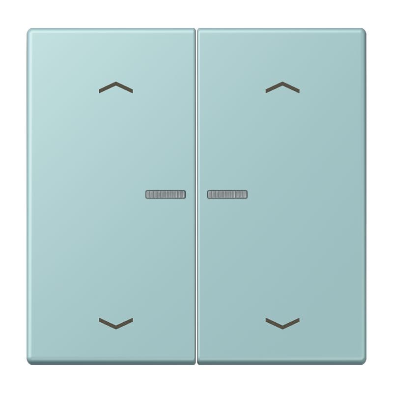 Jung - Enjo 2 touches + flèches et voyant méc BP-BCU LSCD10xxxST / LS 990 LC 32033