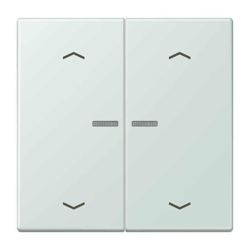 Jung - Enjo 2 touches + flèches et voyant méc BP-BCU LSCD10xxxST / LS 990 LC 32034