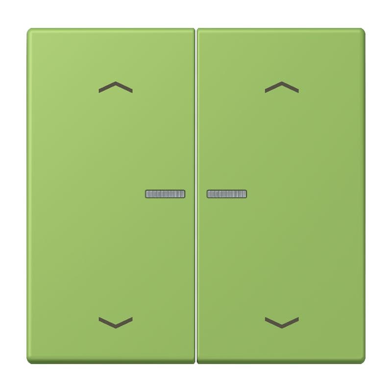 Jung - Enjo 2 touches + flèches et voyant méc BP-BCU LSCD10xxxST / LS 990 LC 32051