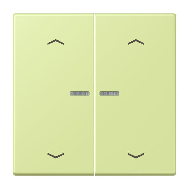 Jung - Enjo 2 touches + flèches et voyant méc BP-BCU LSCD10xxxST / LS 990 LC 32053