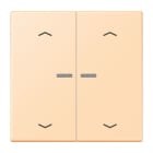 Jung - Enjo 2 touches + flèches et voyant méc BP-BCU LSCD10xxxST / LS 990 LC 32060