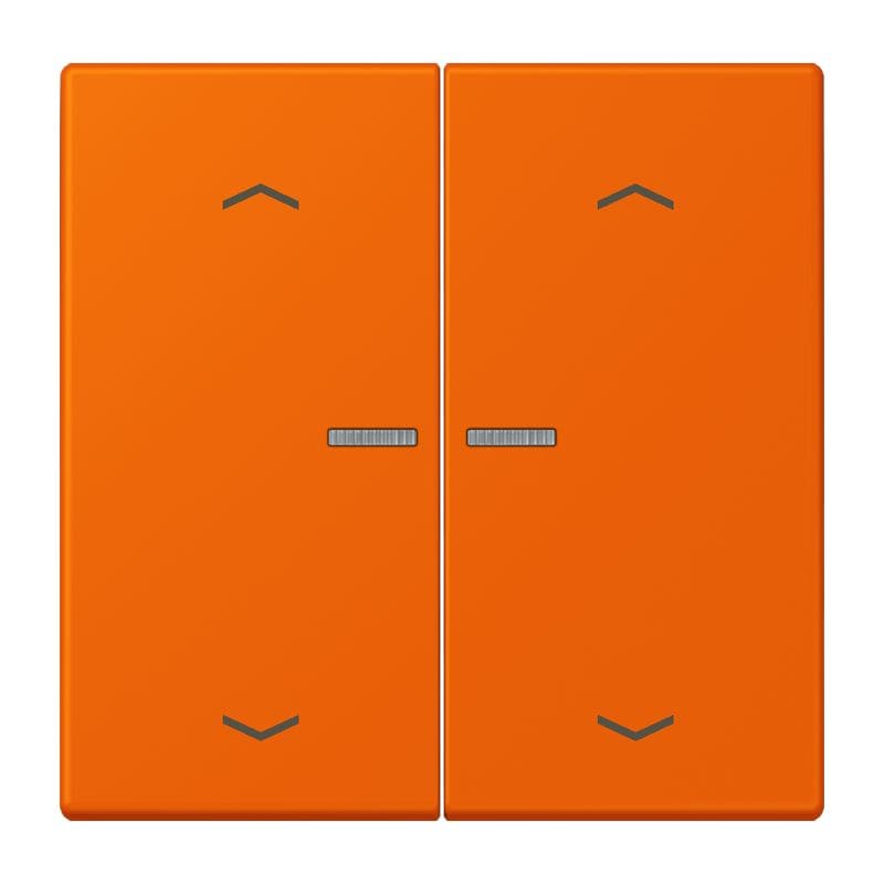 Jung - Enjo 2 touches + flèches et voyant méc BP-BCU LSCD10xxxST / LS 990 LC 32080