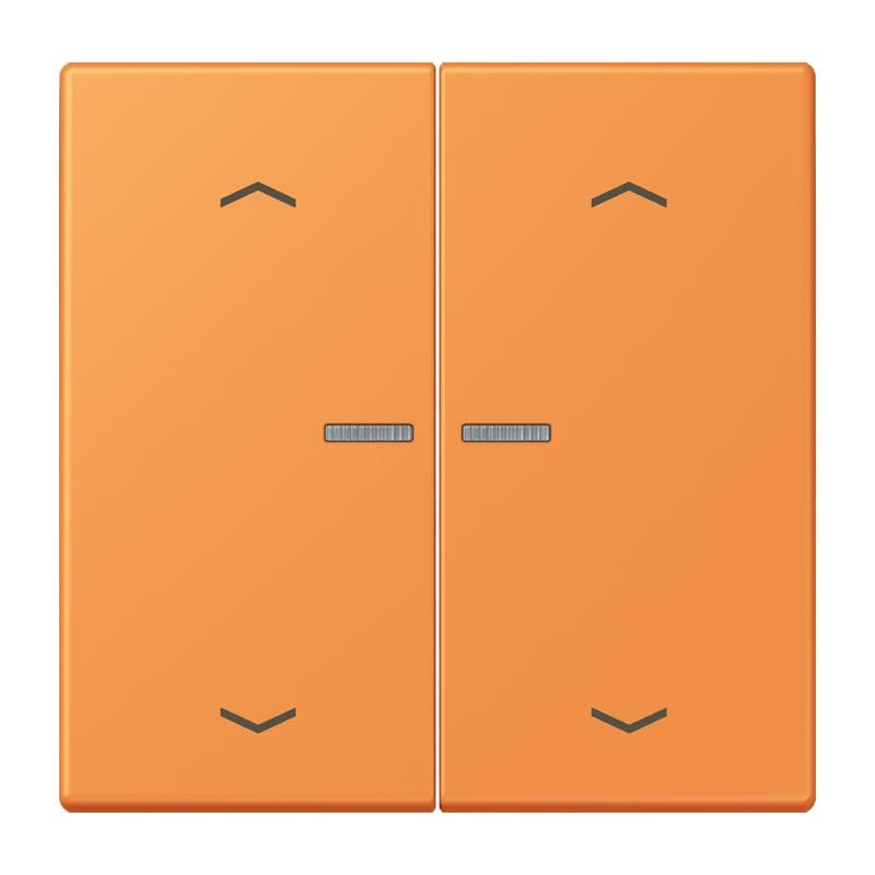 Jung - Enjo 2 touches + flèches et voyant méc BP-BCU LSCD10xxxST / LS 990 LC 32081