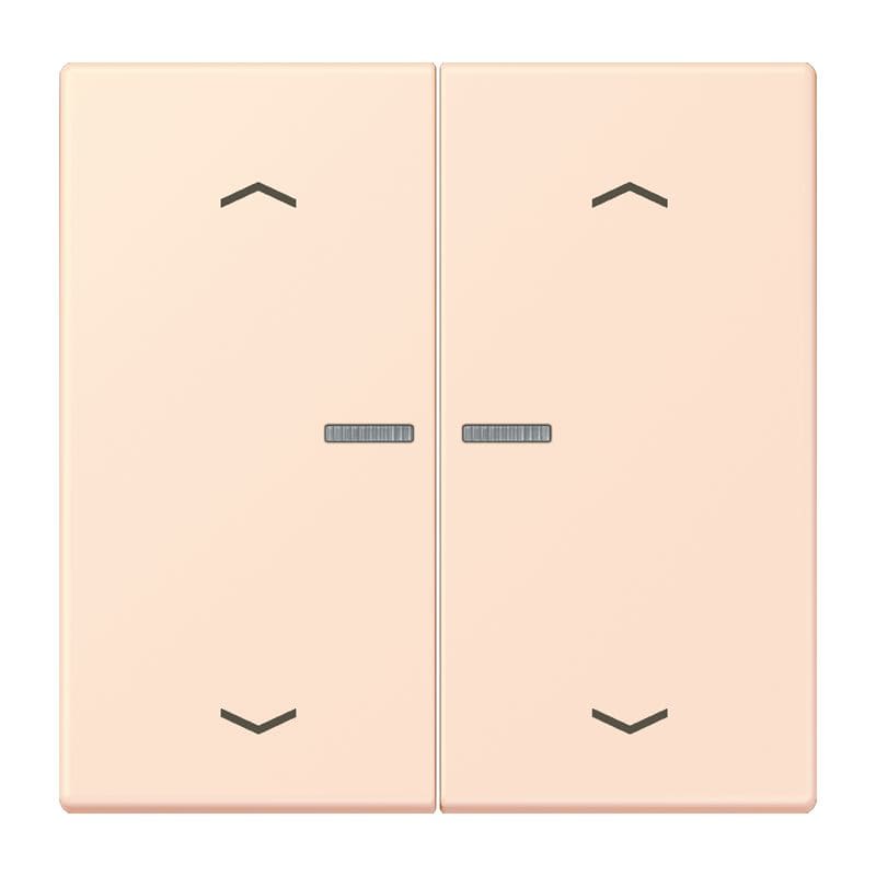 Jung - Enjo 2 touches + flèches et voyant méc BP-BCU LSCD10xxxST / LS 990 LC 32082