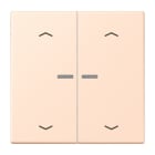 Jung - Enjo 2 touches + flèches et voyant méc BP-BCU LSCD10xxxST / LS 990 LC 32091