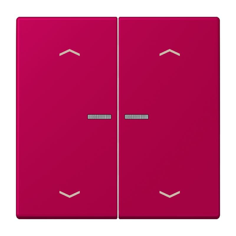 Jung - Enjo 2 touches + flèches et voyant méc BP-BCU LSCD10xxxST / LS 990 LC 32101