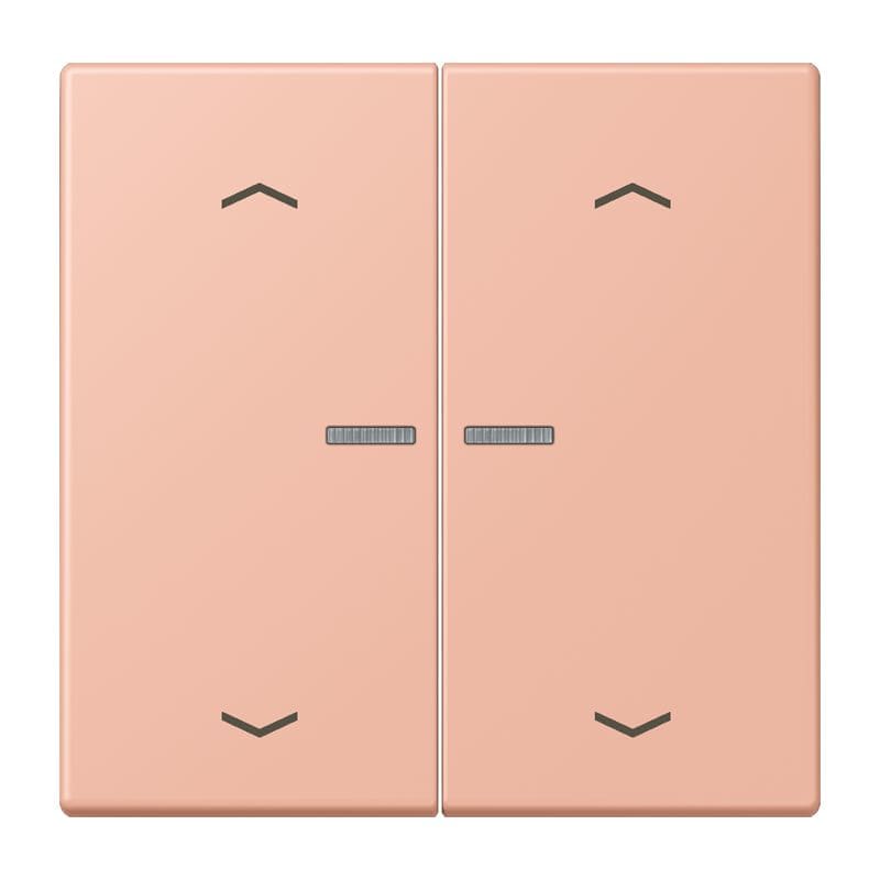 Jung - Enjo 2 touches + flèches et voyant méc BP-BCU LSCD10xxxST / LS 990 LC 32102