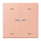 Jung - Enjo 2 touches + flèches et voyant méc BP-BCU LSCD10xxxST / LS 990 LC 32102