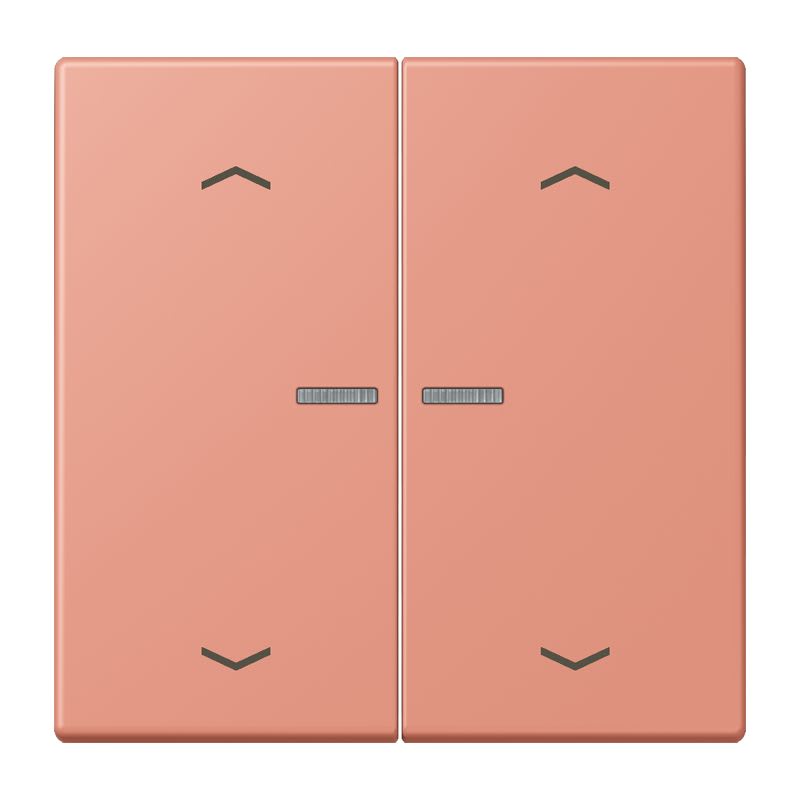 Jung - Enjo 2 touches + flèches et voyant méc BP-BCU LSCD10xxxST / LS 990 LC 32111