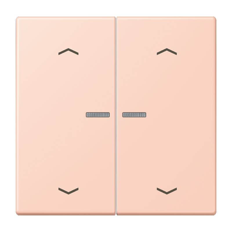 Jung - Enjo 2 touches + flèches et voyant méc BP-BCU LSCD10xxxST / LS 990 LC 32114