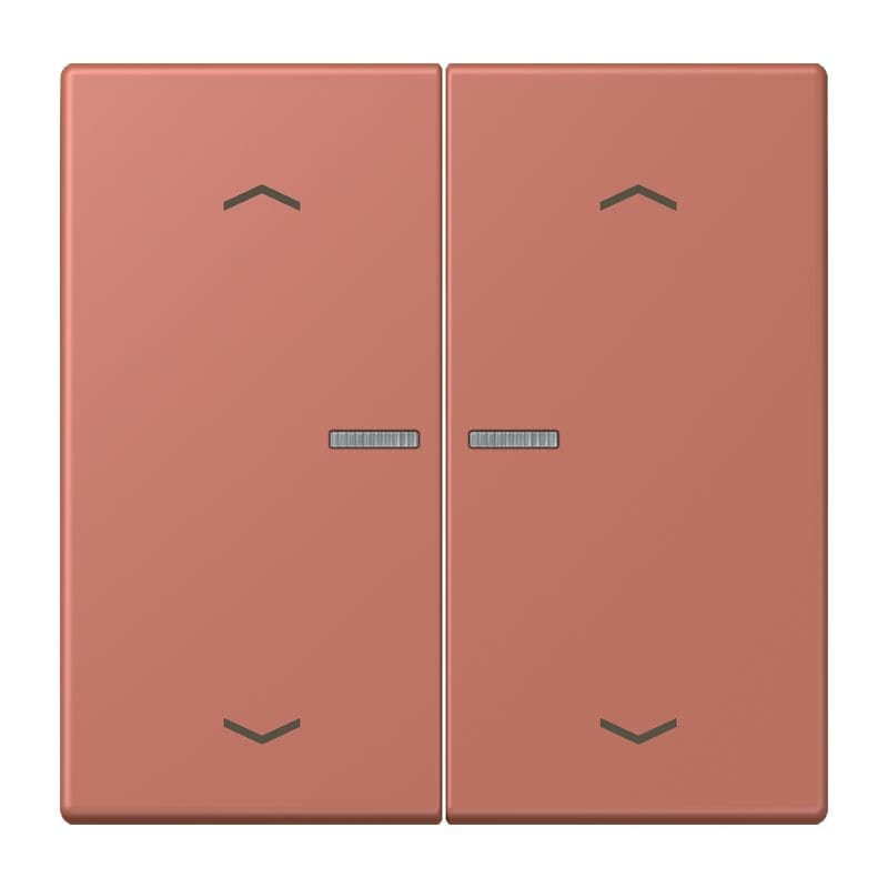 Jung - Enjo 2 touches + flèches et voyant méc BP-BCU LSCD10xxxST / LS 990 LC 32121