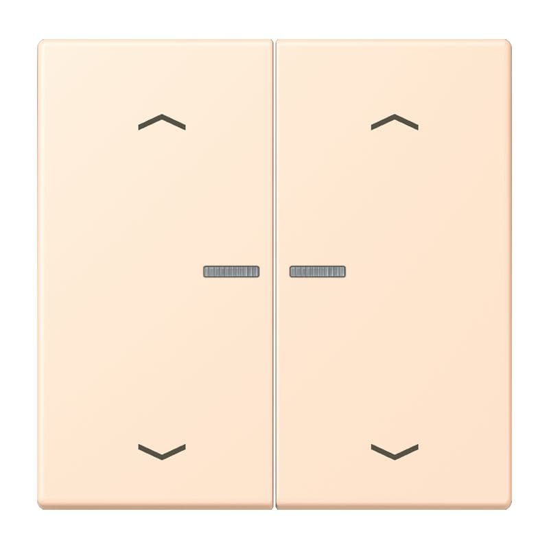 Jung - Enjo 2 touches + flèches et voyant méc BP-BCU LSCD10xxxST / LS 990 LC 32123