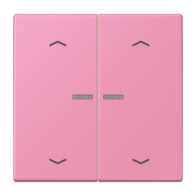 Jung - Enjo 2 touches + flèches et voyant méc BP-BCU LSCD10xxxST / LS 990 LC 4320C