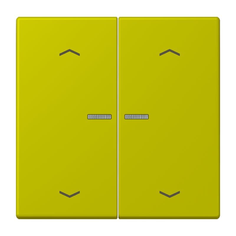 Jung - Enjo 2 touches + flèches et voyant méc BP-BCU LSCD10xxxST / LS 990 LC 4320F