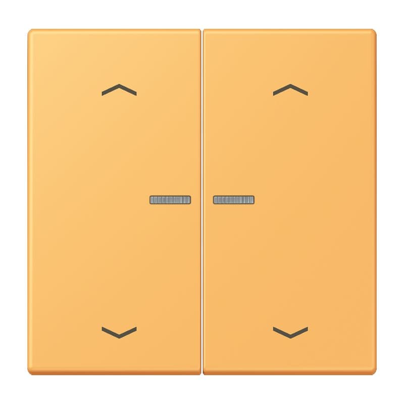 Jung - Enjo 2 touches + flèches et voyant méc BP-BCU LSCD10xxxST / LS 990 LC 4320L