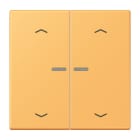 Jung - Enjo 2 touches + flèches et voyant méc BP-BCU LSCD10xxxST / LS 990 LC 4320L